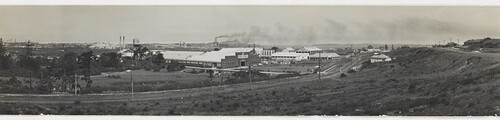 Johnson & Johnson Factory in foreground, and R.C.I buildings, Botany, Sydney, 1949-1950, H. Chargois